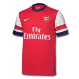 Adult 2012/14 S/S Home Shirt